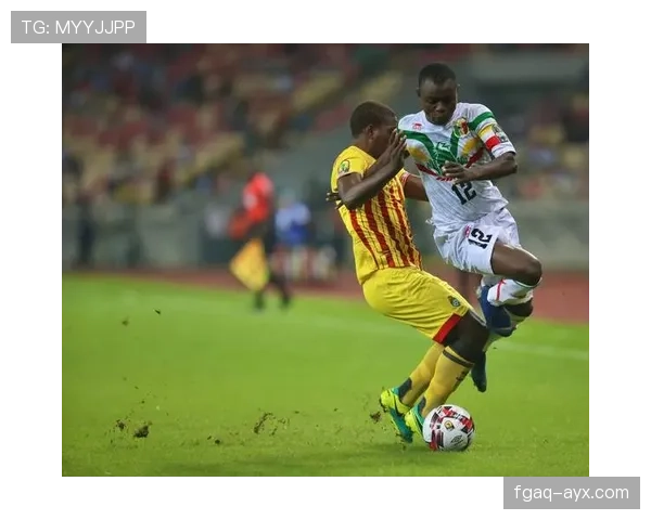 非洲国家杯最新赛况与专家分析