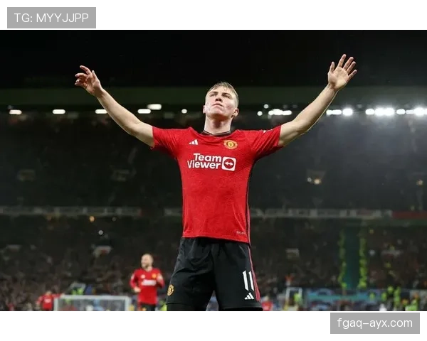 阿尔瓦雷斯与霍伊伦：新生代中锋终结效率与战术角色对比分析